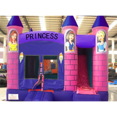 Hire Large Princess Combo Jumping Castle, in Chullora, NSW