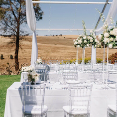 Hire Clear Tiffany Chair Hire, in Blacktown, NSW