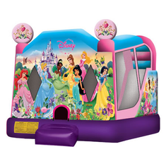 Hire Large disney Princess Jumping Castle C4, in Chullora, NSW