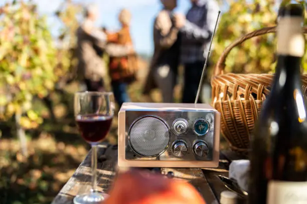 Portable Audio Stereo For Outdoor Party you can find on Gecko