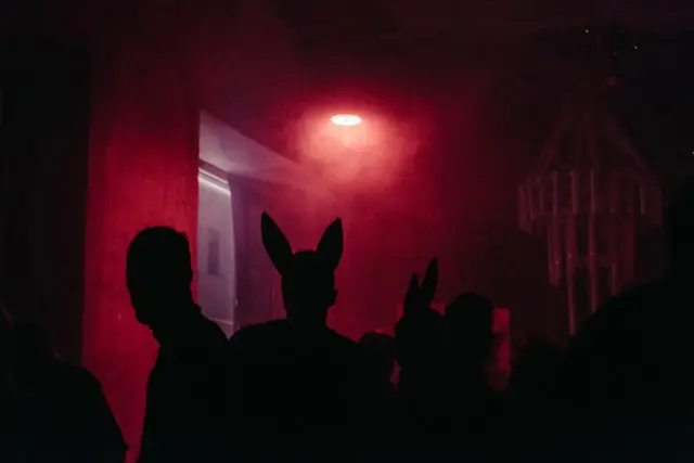 A Rave House Party with Smokes Made by Smoke Machines you can find on Gecko” style=
